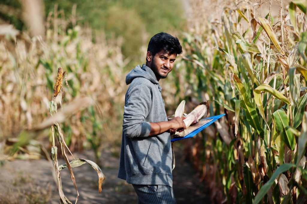 Asian agronomist